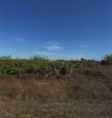 745 Alamo St E, Lehigh Acres, FL 33974