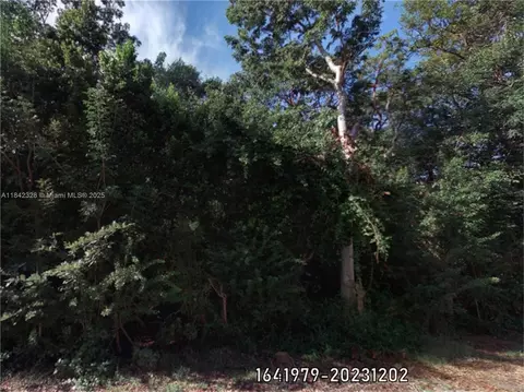 00 Poinsetta, Other, FL 33037