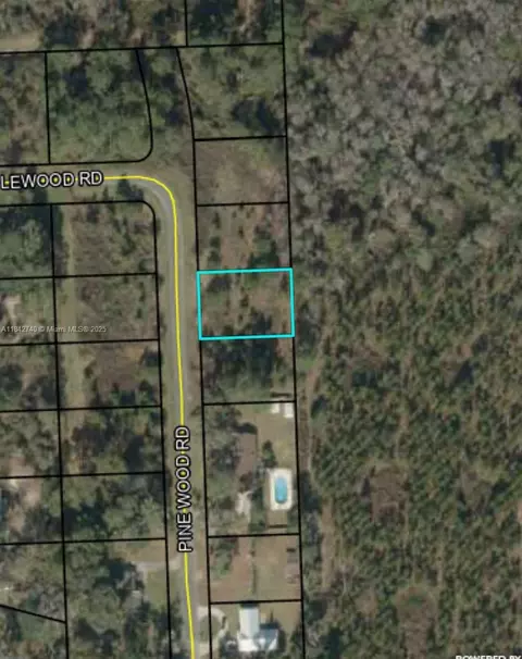 649 Pine Wood Rd, Other, FL 32052