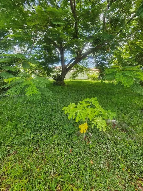 0 E 52, Hialeah, FL 33013 photo 4