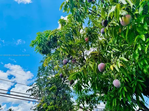 Other - 115 W 37th St, Hialeah, FL 33012 photo 4 of 4
