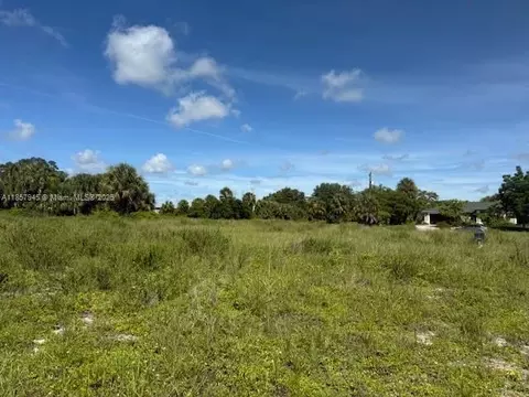 1017 Comet Ave, La Belle, FL 33935 photo 3
