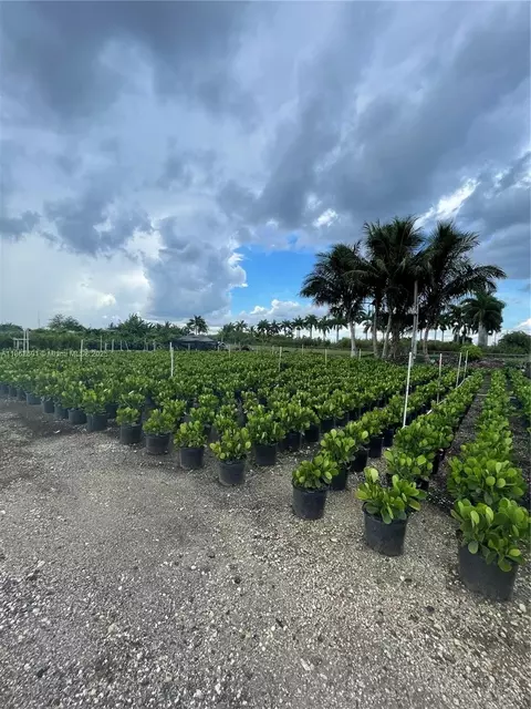 Undisclosed, Homestead, FL 33030