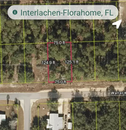 105 Wallace St, Other, FL 32148 photo 3