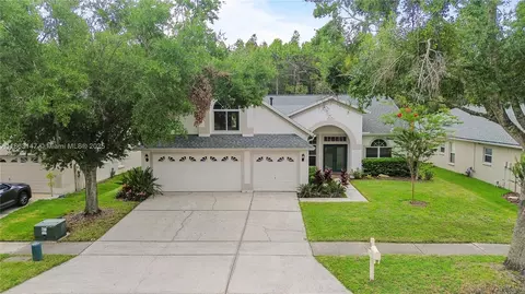 10217 Timberland Point Dr, Tampa, FL 33647