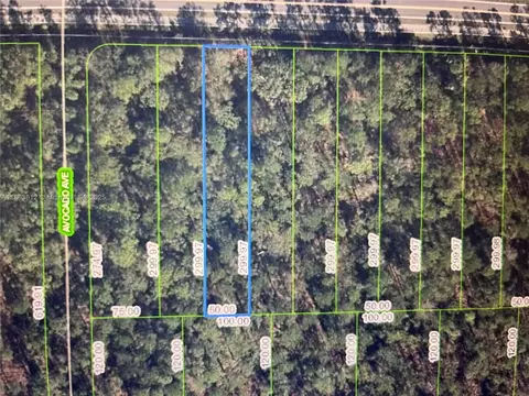 2651 Hammock Rd, Sebring, FL 33872 photo 1