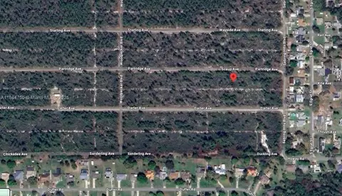 415 Scaup Ave, Sebring, FL 33872 photo 1