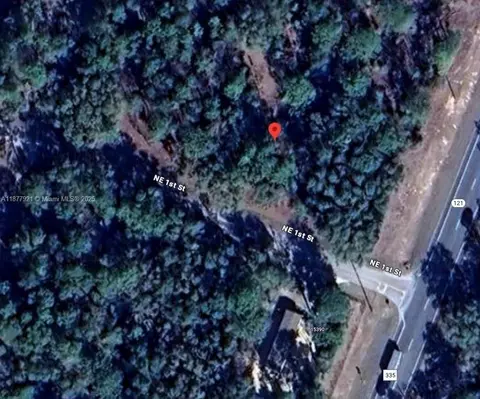 lot2 NE 1st St, Williston, FL 32696 photo 6