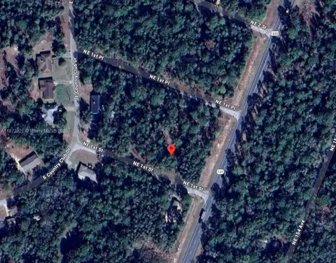 lot2 NE 1st St, Williston, FL 32696 photo 5