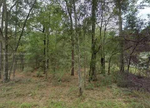 lot2 NE 1st St, Williston, FL 32696 photo 9