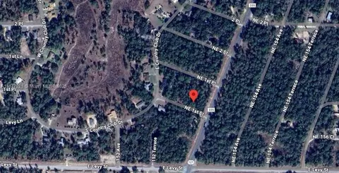 lot2 NE 1st St, Williston, FL 32696 photo 4