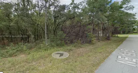 lot2 NE 1st St, Williston, FL 32696 photo 8