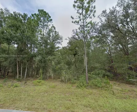 lot2 NE 1st St, Williston, FL 32696 photo 2