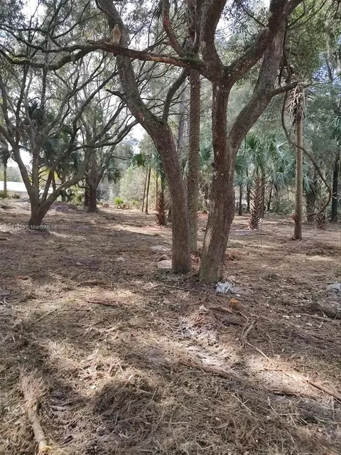 5770 SE 195 Pl, Other, FL 34449 photo 4