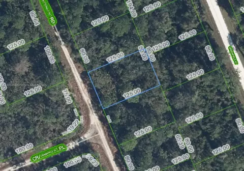 1131 Butternut Rd, Lake Placid, FL 33852