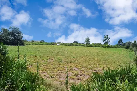 20533 NW 250th St, Okeechobee, FL 34972 photo 4