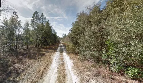 lot4 NE 156th Ct, Williston, FL 32696