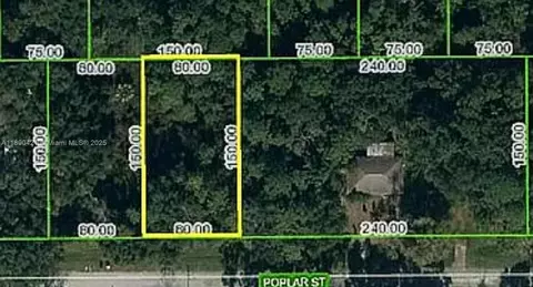 1508 Poplar St, Lake Placid, FL 33852