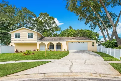 15810 Cottontail, Tampa, FL 33624