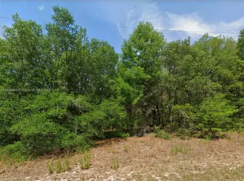 11451 N Clare, Citrus Springs, FL 34434