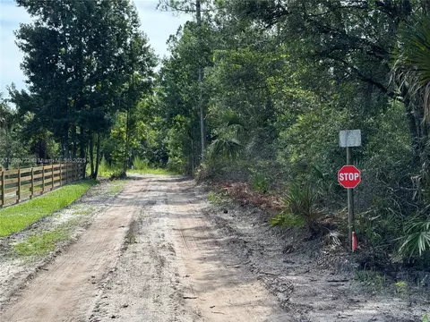 0 County Road 335, Other, FL 32110