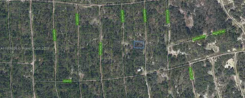252 Fascination Dr, Lake Placid, FL 33852