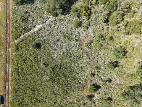 15527 NW 252nd, Okeechobee, FL 34972 photo 3