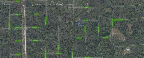 305 Dolly Ln, Lake Placid, FL 33852