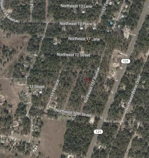 0 NW 157th Ave, Williston, FL 32696 photo 4