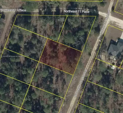 0 NW 157th Ave, Williston, FL 32696 photo 5