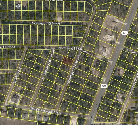 0 NW 157th Ave, Williston, FL 32696 photo 6