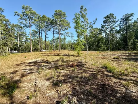 0 NW 157th Ave, Williston, FL 32696