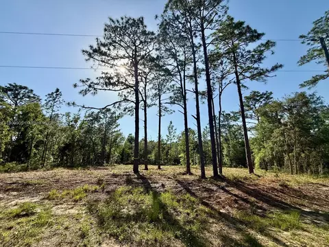 0 NW 157th Ave, Williston, FL 32696 photo 2