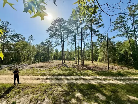 0 NW 157th Ave, Williston, FL 32696 photo 3