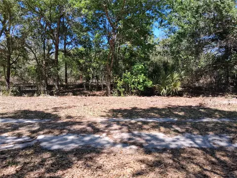 2822 W Yepremian Rd, Avon Park, FL 33825