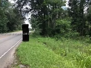 19220 N N Highway 329, Other, FL 32667