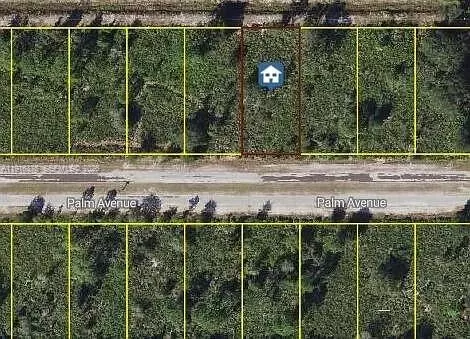 0 Palm, Other, FL 33855