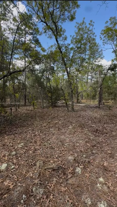 Sw SW Indian Hill Dr, Ocala, FL 34431