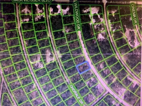 358 Wildwood Dr, Lake Placid, FL 33852