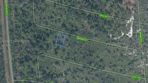 8725 Maynada St, Sebring, FL 33872