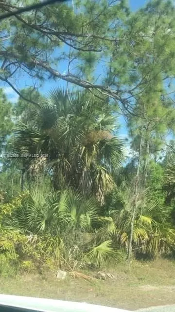 1000 W 11 St, Lehigh Acres, FL 33972