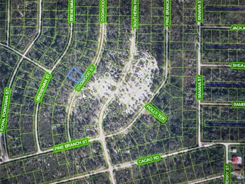 1230 Dogwood, Lake Placid, FL 33852