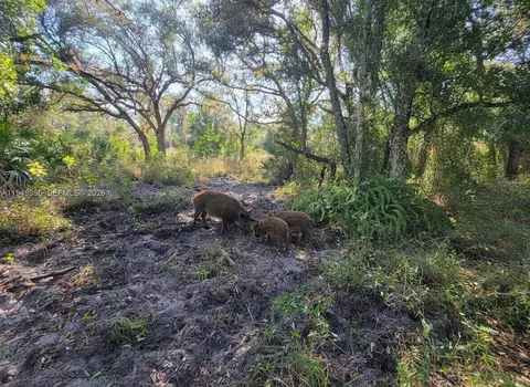1 Catamount Rd, Other, FL 33935 photo 3