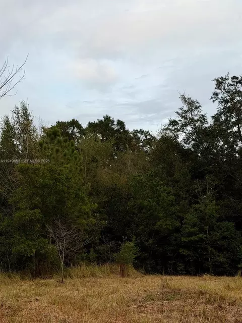 Nw 5th St, Ocala, FL 34482 photo 10