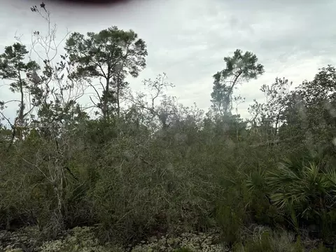 5932 Canopy Rd, Sebring, FL 33875 photo 6