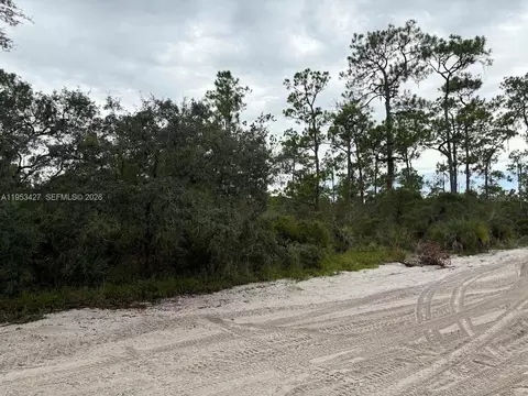 5932 Canopy Rd, Sebring, FL 33875 photo 2