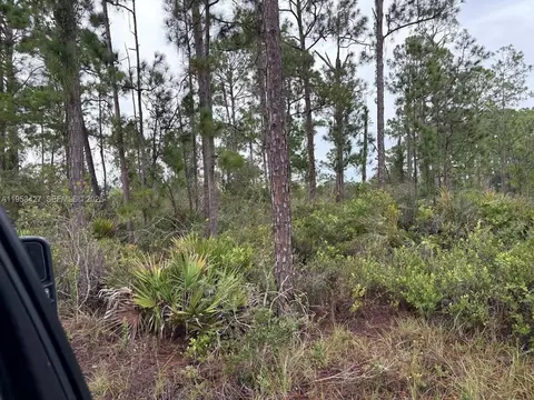 5932 Canopy Rd, Sebring, FL 33875 photo 5