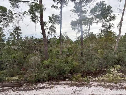 5932 Canopy Rd, Sebring, FL 33875 photo 4