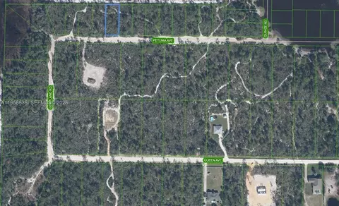 2210 Petunia Ave, Sebring, FL 33875