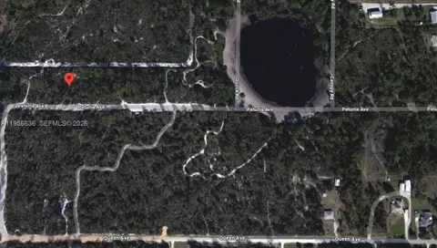 2210 Petunia Ave, Sebring, FL 33875 photo 4